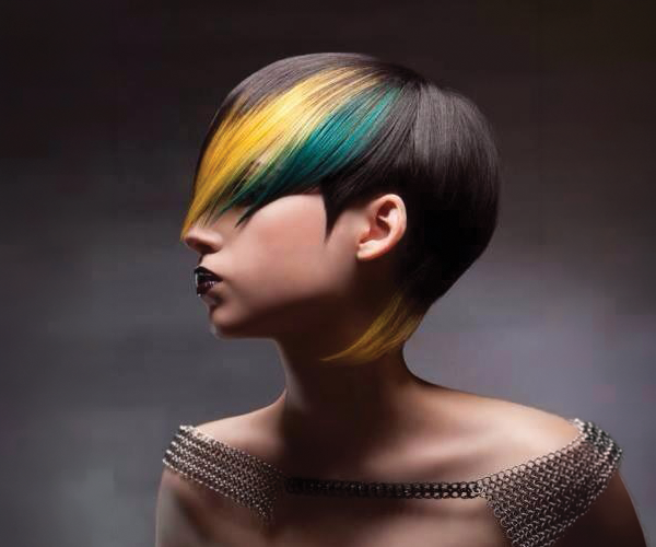 Suisse collection a/i cut & color